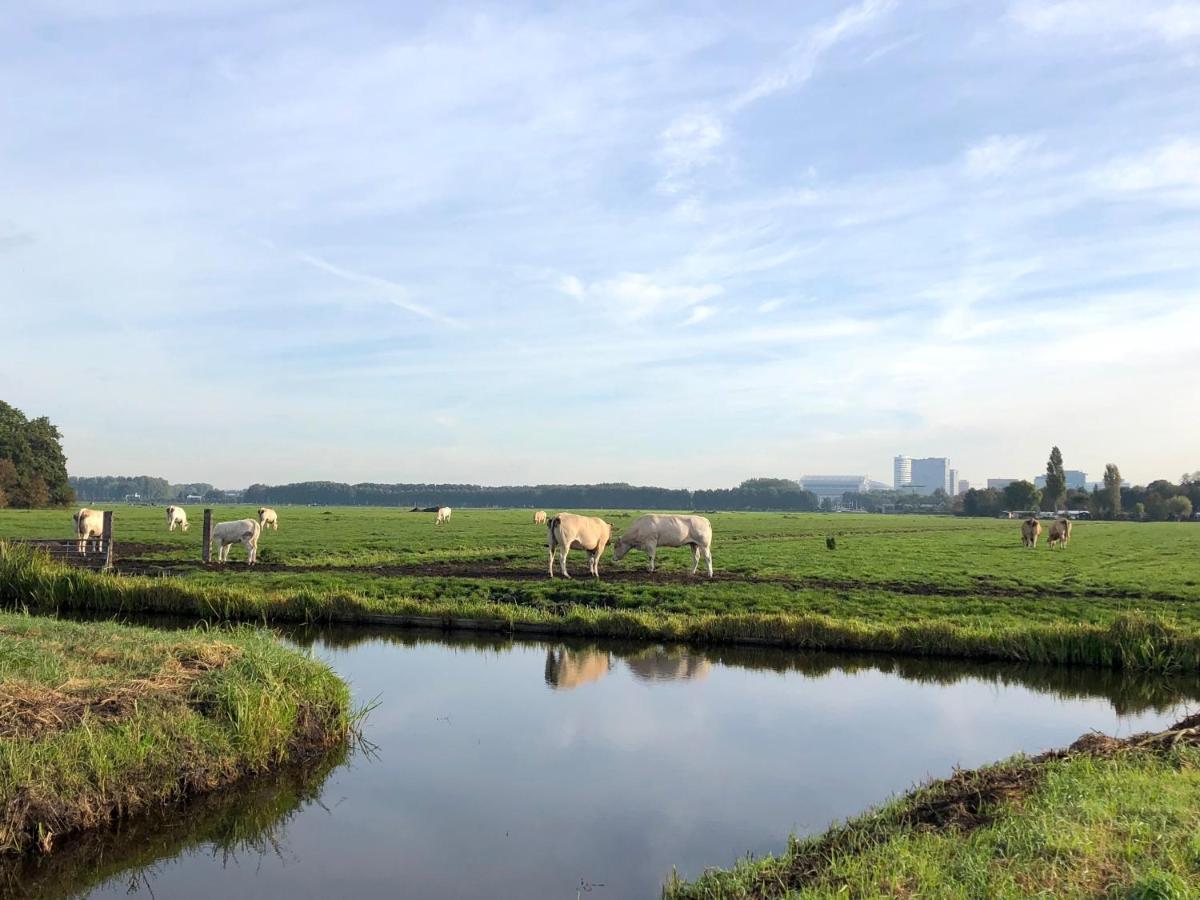 Villa Antonius Amsterdam 奥德科克安德阿姆斯特尔 外观 照片
