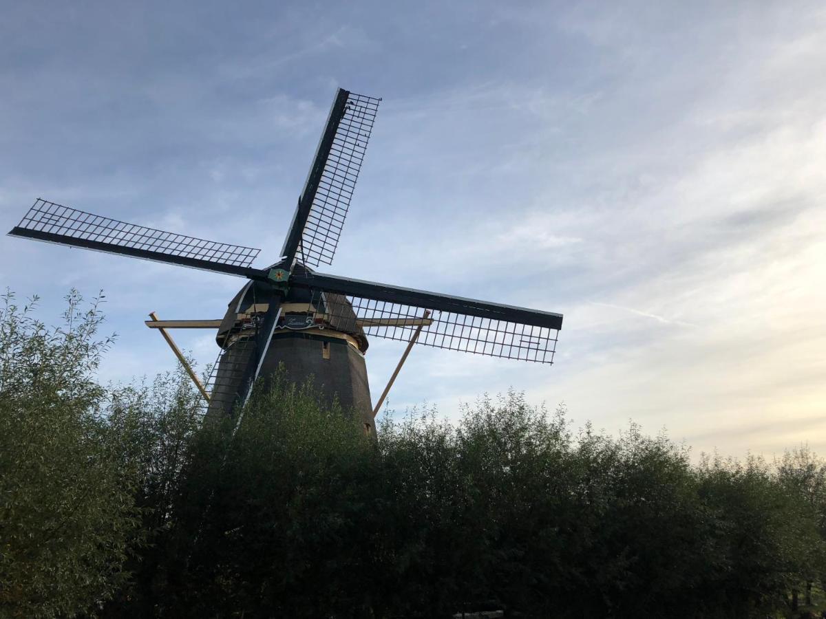 Villa Antonius Amsterdam 奥德科克安德阿姆斯特尔 外观 照片